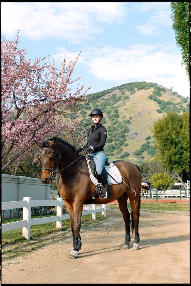 Reflection Dressage - equestrian in Los Angeles, CA
