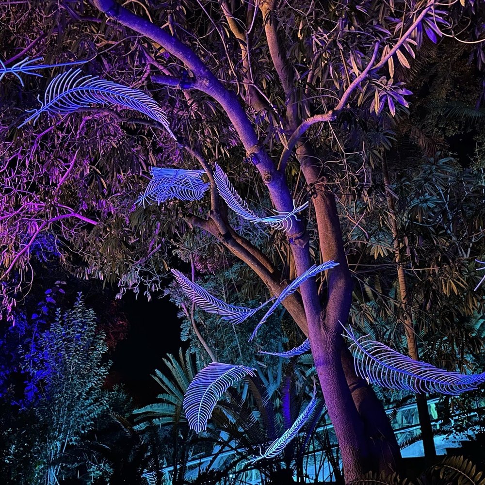 San Diego Botanic Garden - Botanical Gardens Near Me - Encinitas, California