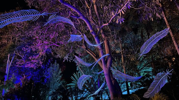 San Diego Botanic Garden by null