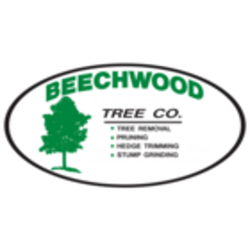 Beechwood Tree - Logo