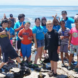 Shark Camp - Out at the tide pools