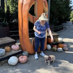 Gathering Place - Wednesday is doggie day