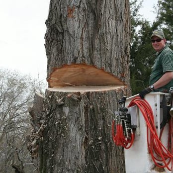 Sherwood Tree Service - Tree Services Near Me - Provo, Utah Sherwood Tree Service - Tree Services Near Me - Provo, Utah