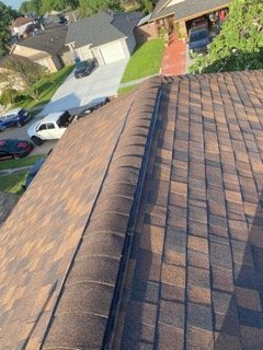 Slide of Bluebonnet Exteriors HTX