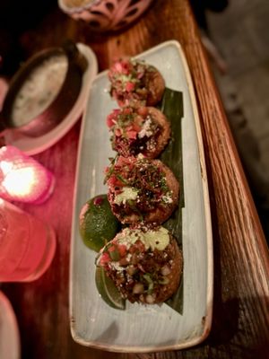 Lolita Back Bay by null