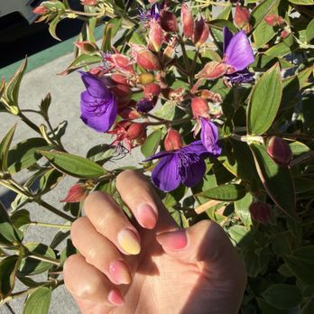 OMG Nails & Spa - Nail Salons Near Me - Cupertino, California