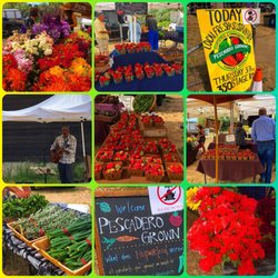 Pescadero Grown Community Farmers Market - Montage of images from Pescadero Grown Community Farmers' Market