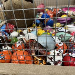 Super Wings - Hermit crabs for sale (please make sure you know how to properly take care of them if you want to buy them)