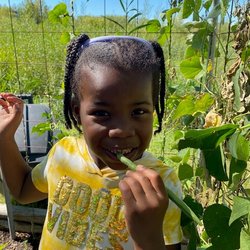 Miniapple International Montessori Schools