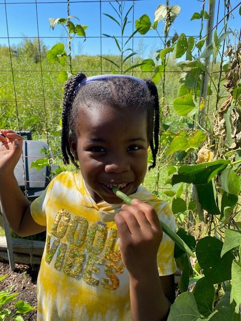 Miniapple International Montessori Schools - childcare center in Oakdale, MN