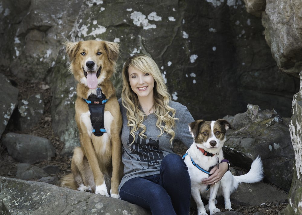 Magic City Pet Care - pet boarding facility in Birmingham, AL