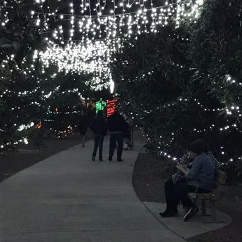 Largo Central Park - Trees lit up - Parks Near Me - Largo, Florida Largo Central Park - Trees lit up - Parks Near Me - Largo, Florida