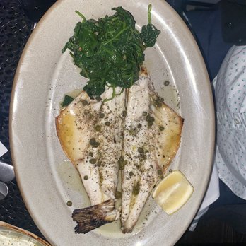 Taverna Veranda - Branzino - Mediterranean Near Me - Edgewater, New Jersey Taverna Veranda - Branzino - Mediterranean Near Me - Edgewater, New Jersey
