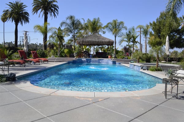 Aquatic Solutions on Yelp