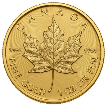 Citrus County Gold & Silver - Canadian gold Maples 9999 ! Buy gold coins at the lowest premiums in Inverness & Citrus County. - Gold Buyers Near Me Citrus County Gold & Silver - Canadian gold Maples 9999 ! Buy gold coins at the lowest premiums in Inverness & Citrus County. - Gold Buyers Near Me