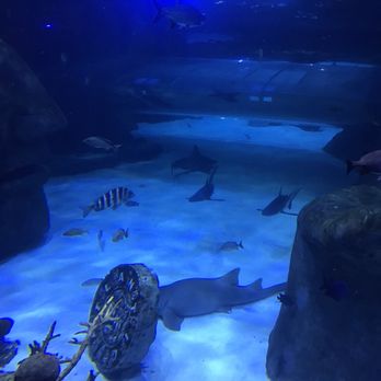 ICON Park - Amusement Parks Near Me - Orlando, Florida