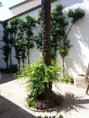 Bullfighting Museum of Cordoba by null