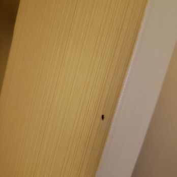 Quality Inn Cromwell - Middletown - Fly on wall - Hotels Near Me - Cromwell, Connecticut