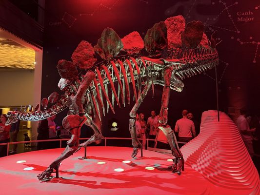 Natural History Museum by null