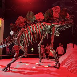 The Natural History Museum - Exhibit