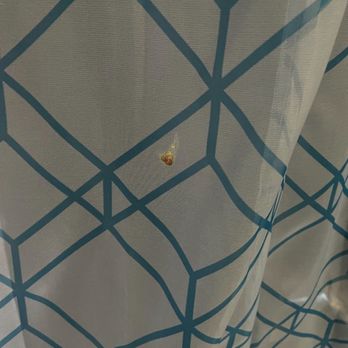 Best Western Plus Carlton Suites - Poop yes that is poop on our curtains. Boogers and other icky stuff all over the walls - Hotels Near Me - Birmingham, Alabama