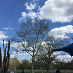 Knight Park