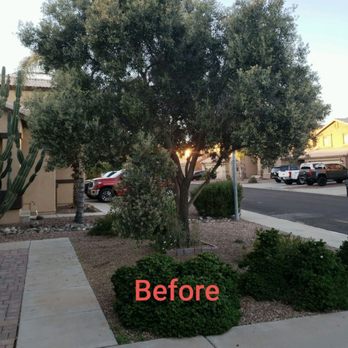 Surprise Tree Service - Tree Services Near Me Surprise Tree Service - Tree Services Near Me