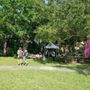 Photo of Mad Hatter Art Festival