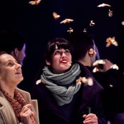 Science Gallery Dublin - Surveying Magicicada at OSCILLATOR.