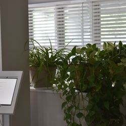 Hessel Park Family Dentistry - Waiting area, Park Family Dentistry. Dentist in Champaign, IL.