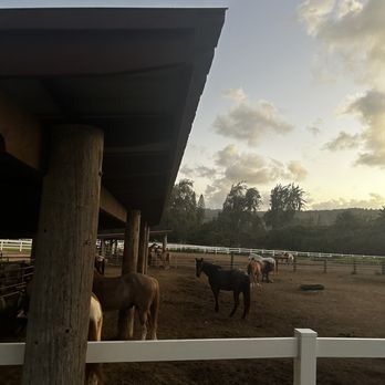 Stables at Turtle Bay Resort - Horseback Riding Near Me - Kahuku, Hawaii Stables at Turtle Bay Resort - Horseback Riding Near Me - Kahuku, Hawaii