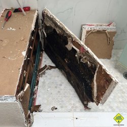 1-800 WATER DAMAGE of Prescott & North Scottsdale - Tile Shower Bench - Mold Growth