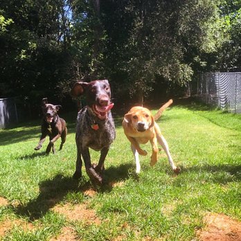 Four Paws Pet Resort - Pet Sitting Near Me - Eagan, Minnesota