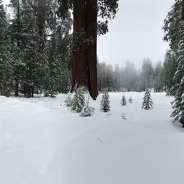 Beautiful winter meadow Beautiful winter meadow