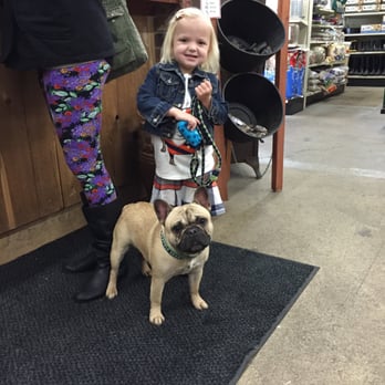 Kiperts Korner Feed - Pet Stores Near Me - Olympia, Washington Kiperts Korner Feed - Pet Stores Near Me - Olympia, Washington