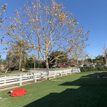 Alfonsos Tree Service - Tree Services Near Me - Chino, California Alfonsos Tree Service - Tree Services Near Me - Chino, California