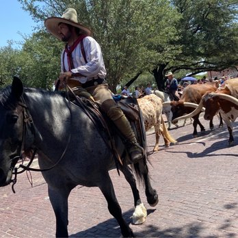 The Stockyards - Stockyard - Local Flavor Near Me - Fort Worth, Texas The Stockyards - Stockyard - Local Flavor Near Me - Fort Worth, Texas