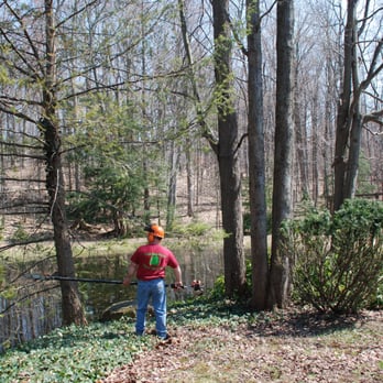 Limbhanger Tree Service - Tree Services Near Me - Oswego, New York