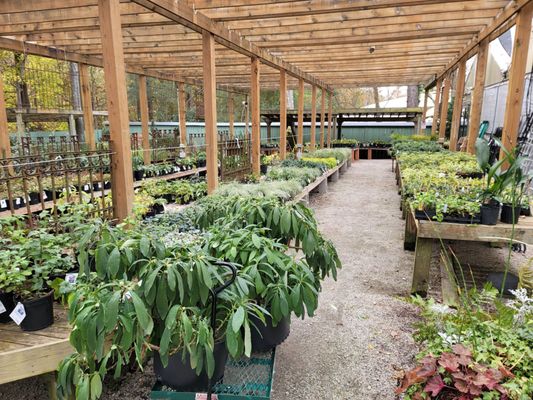 Garden Supply Company by null