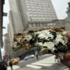 Little Italy Pizza gift card