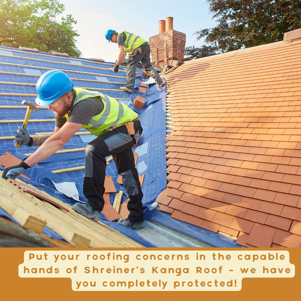 Slide of Shreiner's Kanga Roof