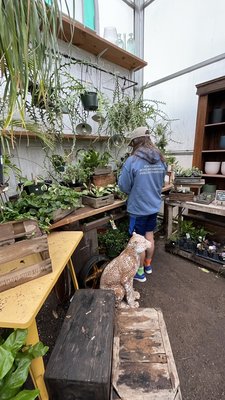 Maypop Coffee & Garden Shop by null