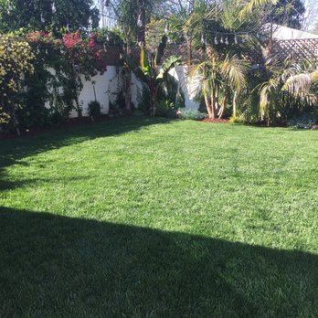 RotoTillerGuy - Yup you guessed it. It's green. - Landscaping Near Me - North Hollywood, California RotoTillerGuy - Yup you guessed it. It's green. - Landscaping Near Me - North Hollywood, California