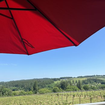 Raptor Ridge Winery - View from patio - Wineries Near Me - Newberg, Oregon Raptor Ridge Winery - View from patio - Wineries Near Me - Newberg, Oregon