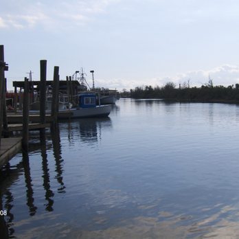 Campo's Marina - Campo's Marina - where gas and bait come from at Shell Beach - Hunting & Fishing Supplies Near Me - St Bernard, Louisiana Campo's Marina - Campo's Marina - where gas and bait come from at Shell Beach - Hunting & Fishing Supplies Near Me - St Bernard, Louisiana