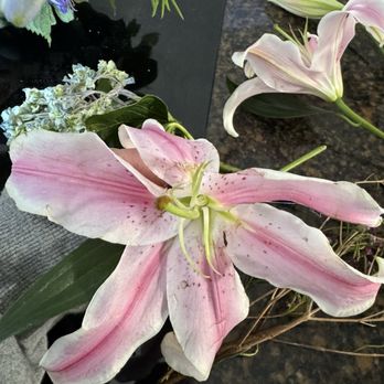 Blossom and Basket Boutique - Florists Near Me - Mount Airy, Maryland Blossom and Basket Boutique - Florists Near Me - Mount Airy, Maryland