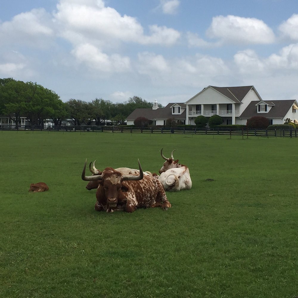 Southfork Ranch - Ranches Near Me - Parker, Texas