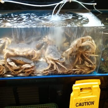 H Mart - Houston - This time, getting crabs is a good thing! - Grocery Near Me - Houston, Texas H Mart - Houston - This time, getting crabs is a good thing! - Grocery Near Me - Houston, Texas