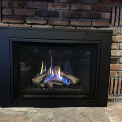 New Mexico Fireplace Gallery - Regency gas fireplace insert from New Mexico Fireplace/Cabinet Gallery