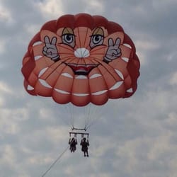 Parasail Joe's - Sailing high.